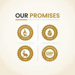 Co Luxury Co Gluta Forte Glutathione Tablet with Vitamin C & Alpha Lipoic Acid | 10 Tablets